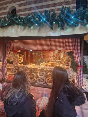 Piazza dei Signori by null