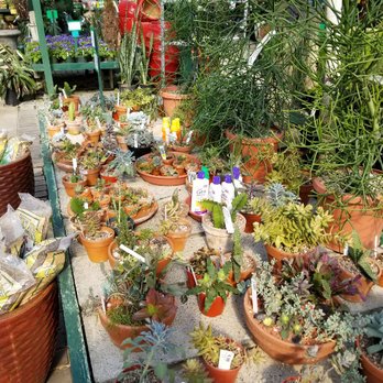 Flower World - Nurseries & Gardening Near Me - Snohomish, Washington