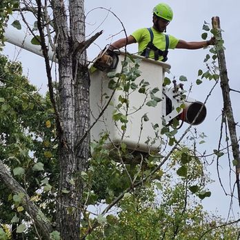 N&H Tree Service and Landscaping - Landscaping Near Me N&H Tree Service and Landscaping - Landscaping Near Me
