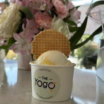 The Yogo - Mango Sticky Rice Handcrafted Ice Cream - Desserts Near Me - San Diego, California The Yogo - Mango Sticky Rice Handcrafted Ice Cream - Desserts Near Me - San Diego, California