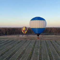 Balloons & Beyond