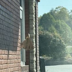 McDonald's - Hadn't even gotten the chance to pay and they had my food hanging out the window.