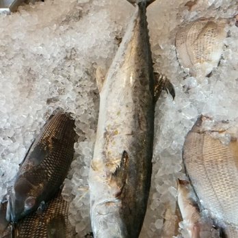 Capital Seafood Market - Black Mackerel - Seafood Markets Near Me - Raleigh, North Carolina Capital Seafood Market - Black Mackerel - Seafood Markets Near Me - Raleigh, North Carolina
