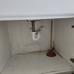 Black mold underneath the bathroom sink!