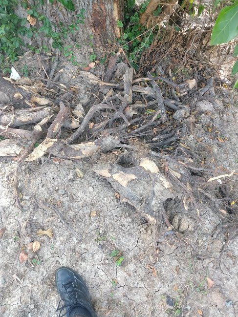 Slide of All American Pumping & Drain