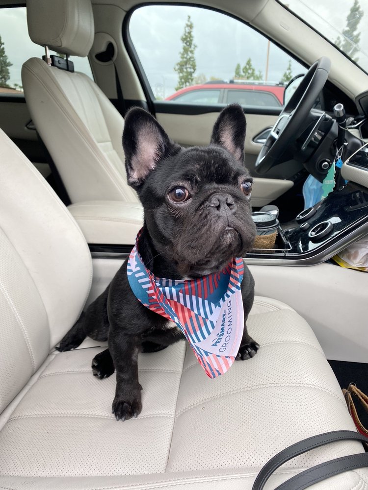 PETSMART 138 Photos & 184 Reviews 865 Jackman St, El Cajon, CA Yelp