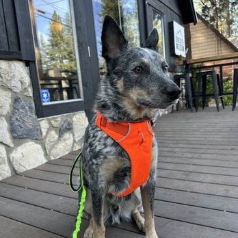 Drink Coffee Do Stuff - Coffee Roasteries Near Me - South Lake Tahoe, California