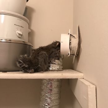 Dryer Vent Pro - Vent cleaning Chicago - Air Duct Cleaning Near Me - Chicago, Illinois Dryer Vent Pro - Vent cleaning Chicago - Air Duct Cleaning Near Me - Chicago, Illinois