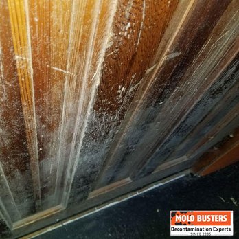 Mold Busters - Ottawa - Damage Restoration Near Me - Ottawa, Ontario