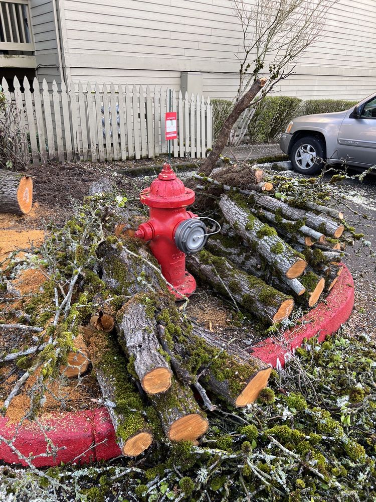 POWELL VALLEY FARMS Updated September 2024 63 Photos & 27 Reviews