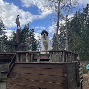 Canyon Pet Lodge - Pet Boarding Near Me - Puyallup, Washington Canyon Pet Lodge - Pet Boarding Near Me - Puyallup, Washington