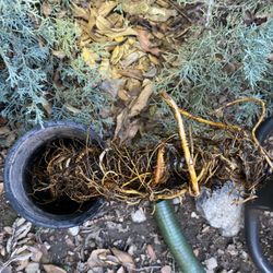 Essential Home Maintenance Checklist: Keep Your Home in Top Condition