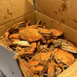 Blue Crabs Blue Crabs