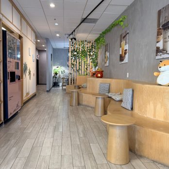 Yi Fang - Inside - Bubble Tea Near Me - Fairfax, Virginia Yi Fang - Inside - Bubble Tea Near Me - Fairfax, Virginia