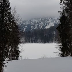 Freibergsee