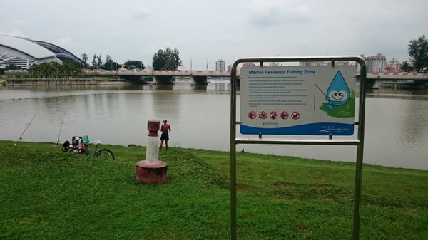 Kallang Riverside Park by null