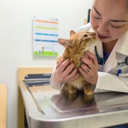 Banfield Pet Hospital