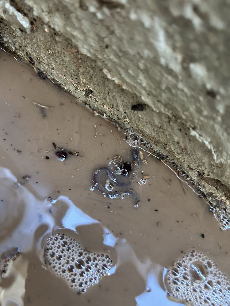 PMI PHX Gateway - property management company in Gilbert, AZ