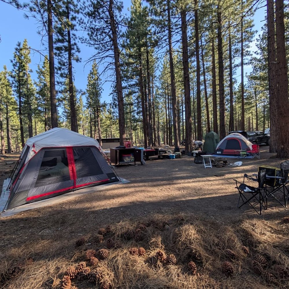 New Shady Rest Campground - Setup - Campgrounds Near Me - Mammoth Lakes, California New Shady Rest Campground - Setup - Campgrounds Near Me - Mammoth Lakes, California