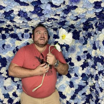 Denver Selfie Museum - Art Museums Near Me - Denver, Colorado
