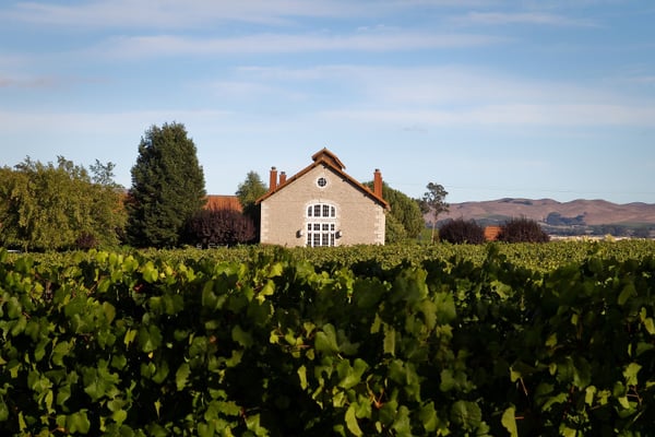 Etude Wines by null
