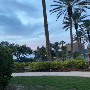 JW Marriott - Beach volleyball - Hotels Near Me - Orlando, Florida