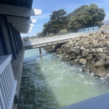 Skates On The Bay - Outside - Seafood Near Me - Berkeley, California Skates On The Bay - Outside - Seafood Near Me - Berkeley, California