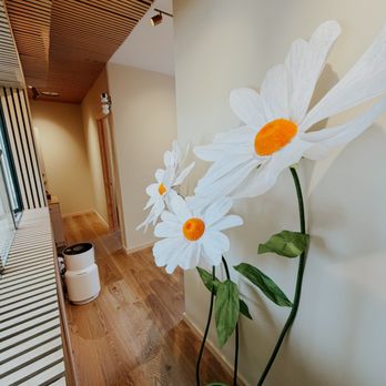 Svala Spa - Massage Therapy Near Me - Mill Valley, California
