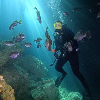 Devil's Den Prehistoric Spring - I'm guessing I will always look uncomfortable lol - Scuba Diving Near Me - Williston, Florida Devil's Den Prehistoric Spring - I'm guessing I will always look uncomfortable lol - Scuba Diving Near Me - Williston, Florida
