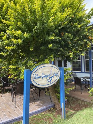Blue Ginger Cafe by null
