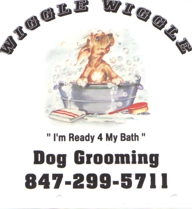 WIGGLE WIGGLE DOG GROOMING Updated October 2024 12 Reviews 60 N