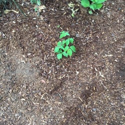 Kimball Farms - PI everywhere