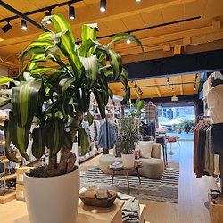 Access Plants