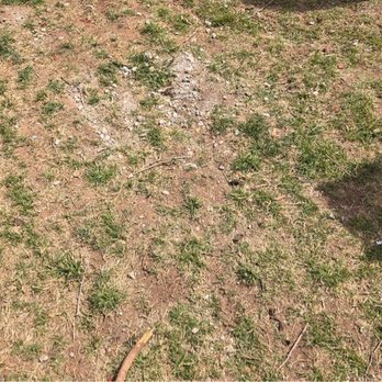 Wildcat Lawn Care and More - More concrete left behind. - Lawn Services Near Me - Clovis, New Mexico Wildcat Lawn Care and More - More concrete left behind. - Lawn Services Near Me - Clovis, New Mexico