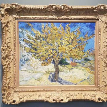 Norton Simon Museum - Vincent Van Gogh! - Art Museums Near Me - Pasadena, California Norton Simon Museum - Vincent Van Gogh! - Art Museums Near Me - Pasadena, California