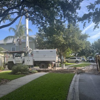 Affordable Tree & Landscape - Excellent work - Tree Services Near Me - St. Augustine, Florida Affordable Tree & Landscape - Excellent work - Tree Services Near Me - St. Augustine, Florida
