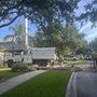 Photo of Affordable Tree & Landscape