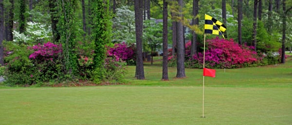 MINNESOTT GOLF COUNTRY CLUB Updated September 2025 806 Country