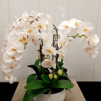 Lexington Gardens - Faux White Orchids in White Container - Home & Garden Near Me - New York, New York Lexington Gardens - Faux White Orchids in White Container - Home & Garden Near Me - New York, New York