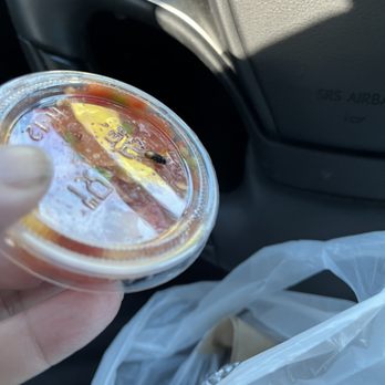 El Pollo Loco - Fast Food Near Me - La Quinta, California