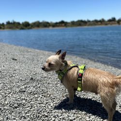 Alameda Creek Trail