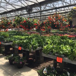 Dom's Garden Center