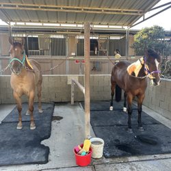 Rancho Sierra Vista Equestrian Center - Wash stations