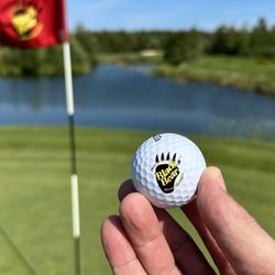 Black Bear Golf Course - 11th green