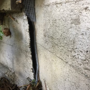 Peninsula Rodent Control - Carlos is able to see the smallest cracks - Pest Control Near Me - Redwood City, California