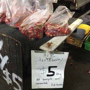 Glenfield Night Market - HUGE bag of strawberries for $5 - Street Vendors Near Me - Auckland, AUK Glenfield Night Market - HUGE bag of strawberries for $5 - Street Vendors Near Me - Auckland, AUK