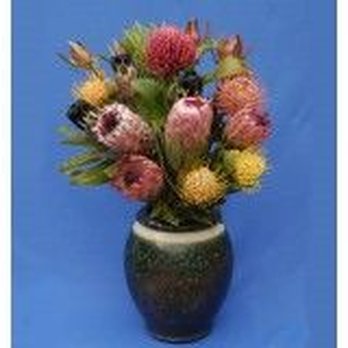 Tropical Colors - Tropical Colors - Florists Near Me - Pahoa, Hawaii Tropical Colors - Tropical Colors - Florists Near Me - Pahoa, Hawaii