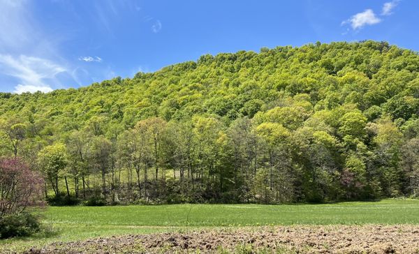 East Broad Top Railroad by null