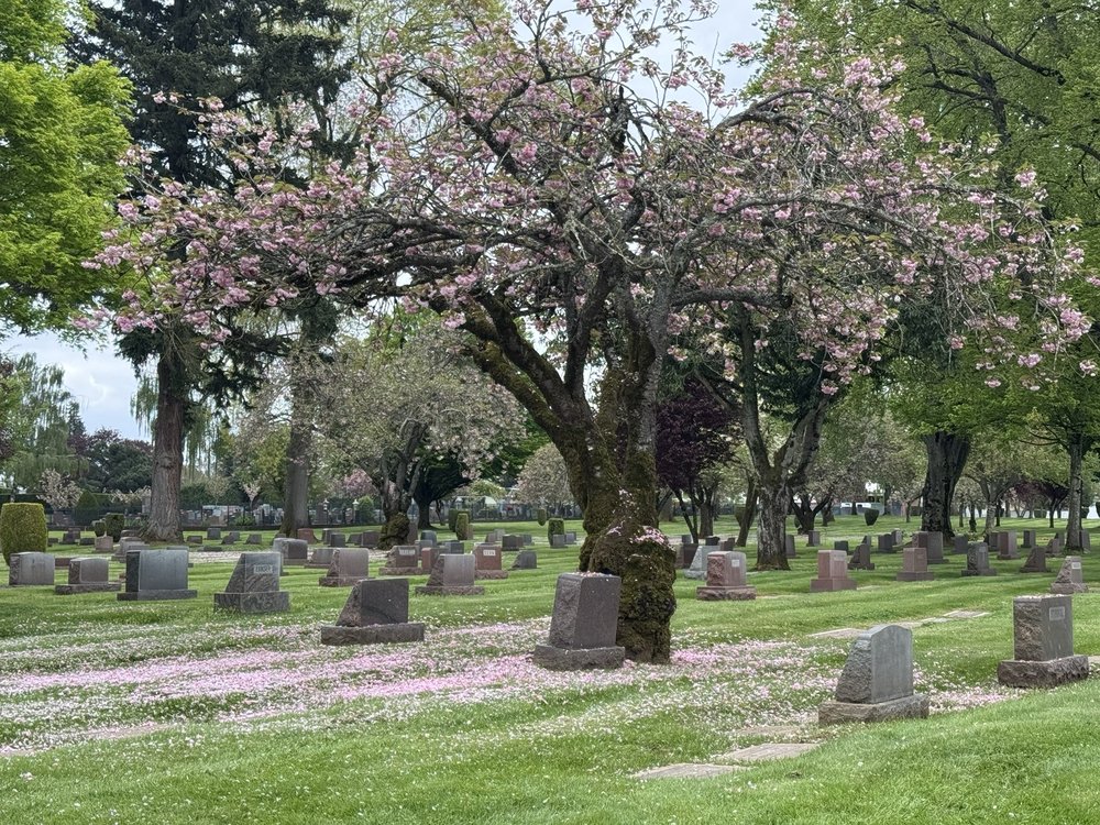 ROSE CITY CEMETERY & FUNERAL HOME - Updated June 2026 - 17 Photos & 10