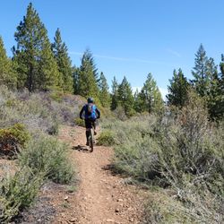Spence Mountain Trailhead